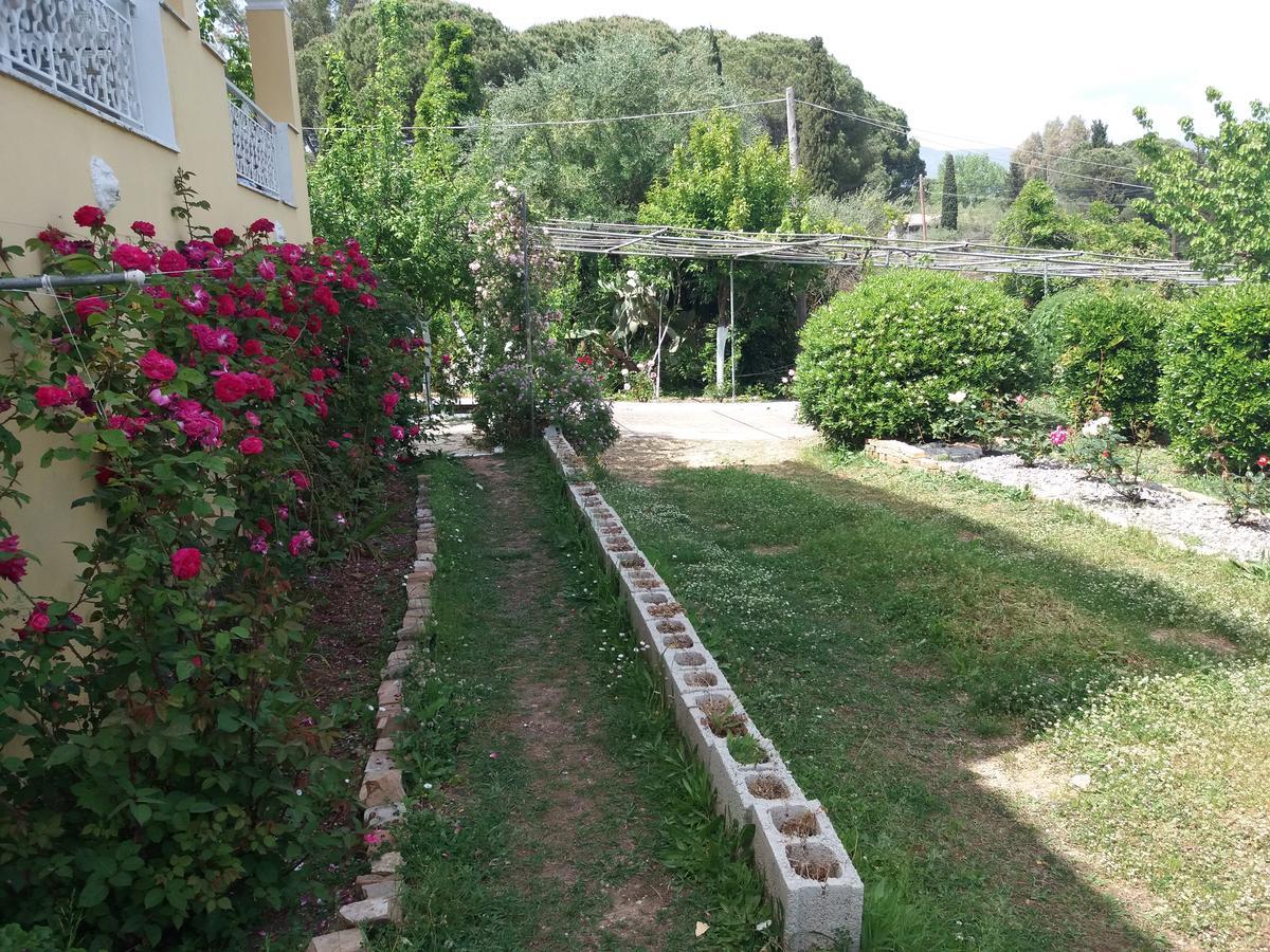 Athineos Apartments Kommeno (Corfu) Exterior foto