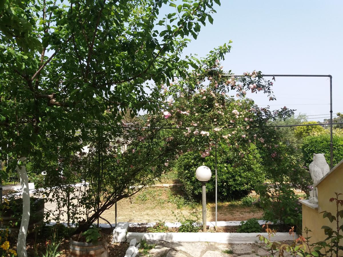 Athineos Apartments Kommeno (Corfu) Exterior foto