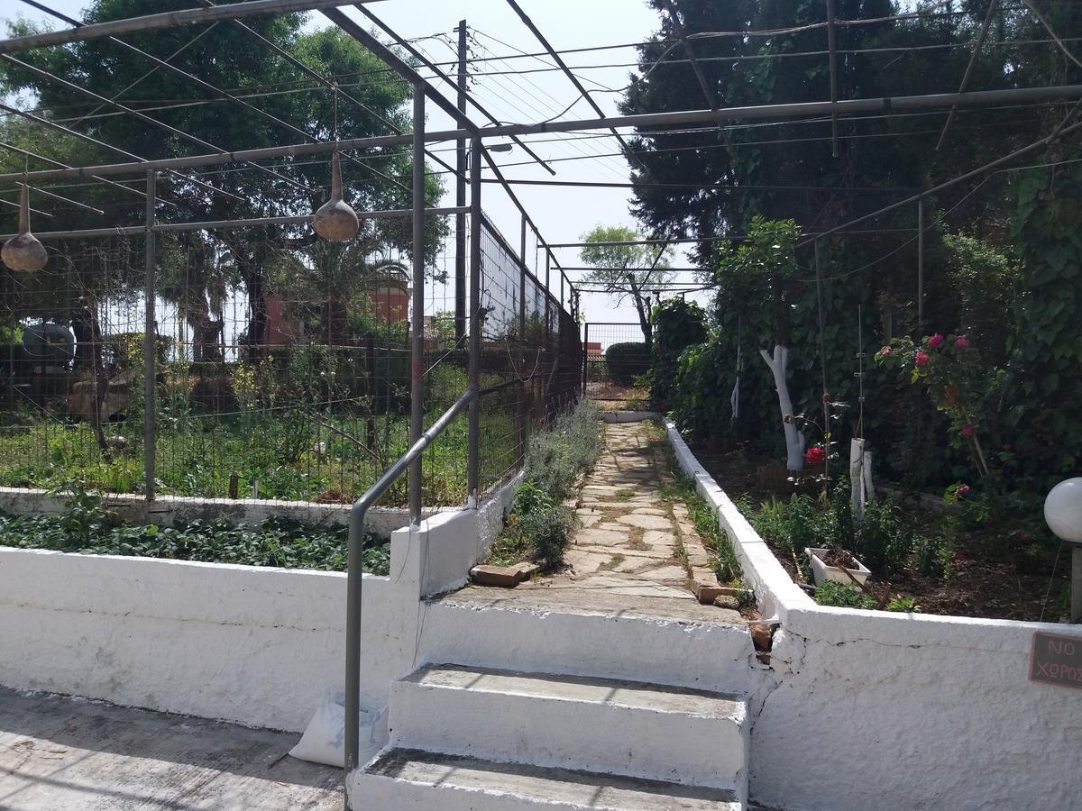 Athineos Apartments Kommeno (Corfu) Exterior foto